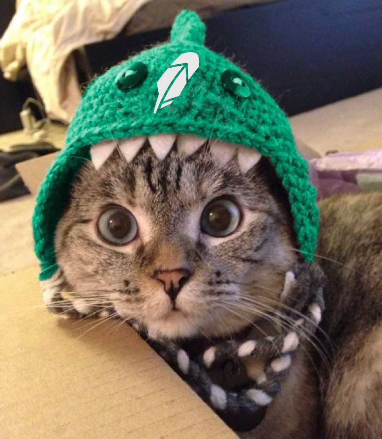 POTUS911_'s tweet photo. @RobinhoodApp Shark Cat is ready too $SC https://t.co/HOOHzObqRJ