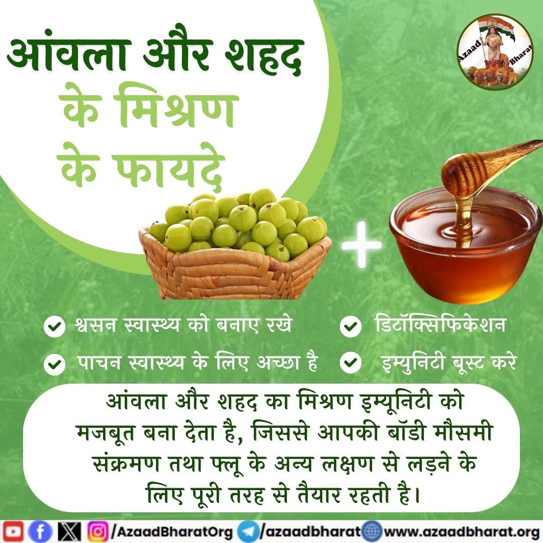 AzaadBharatOrg's tweet photo. आंवला में विटामिन सी और शहद एंटी बैक्टीरियल, एंटी फंगल और एंटी माइक्रो बॉयल गुण होते हैं इनका मिश्रण इम्यूनिटी को मजबूत बना देता है, जिससे आपकी बॉडी मौसमी संक्रमण तथा फ्लू के ���न्य लक्षण से लड़ने के लिए पूरी तरह से तैयार रहती है। 
पूरी पोस्ट पढ़े 👇🏻https://t.co/5TagLOtR2i https://t.co/xiAwFxrDlR
