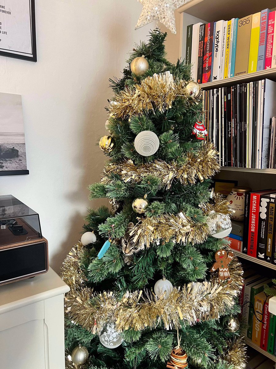 missmaggiecat's tweet photo. The humans said that putting the tree up could be a cat-astrophe

Ta-Da, here I am 🎄😺

#CatsOfTwitter https://t.co/pkT7loscd2
