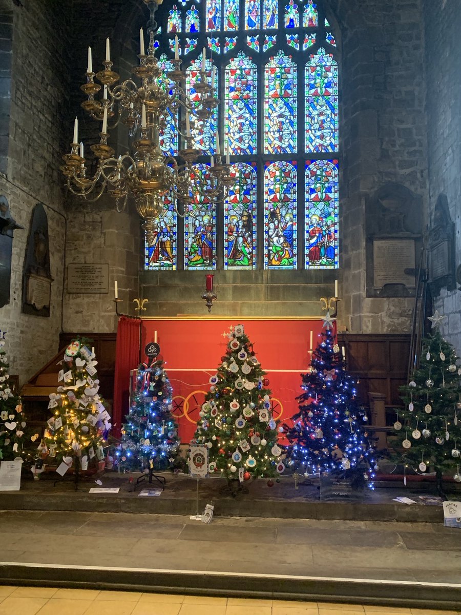 MarkFitz90 tweet media