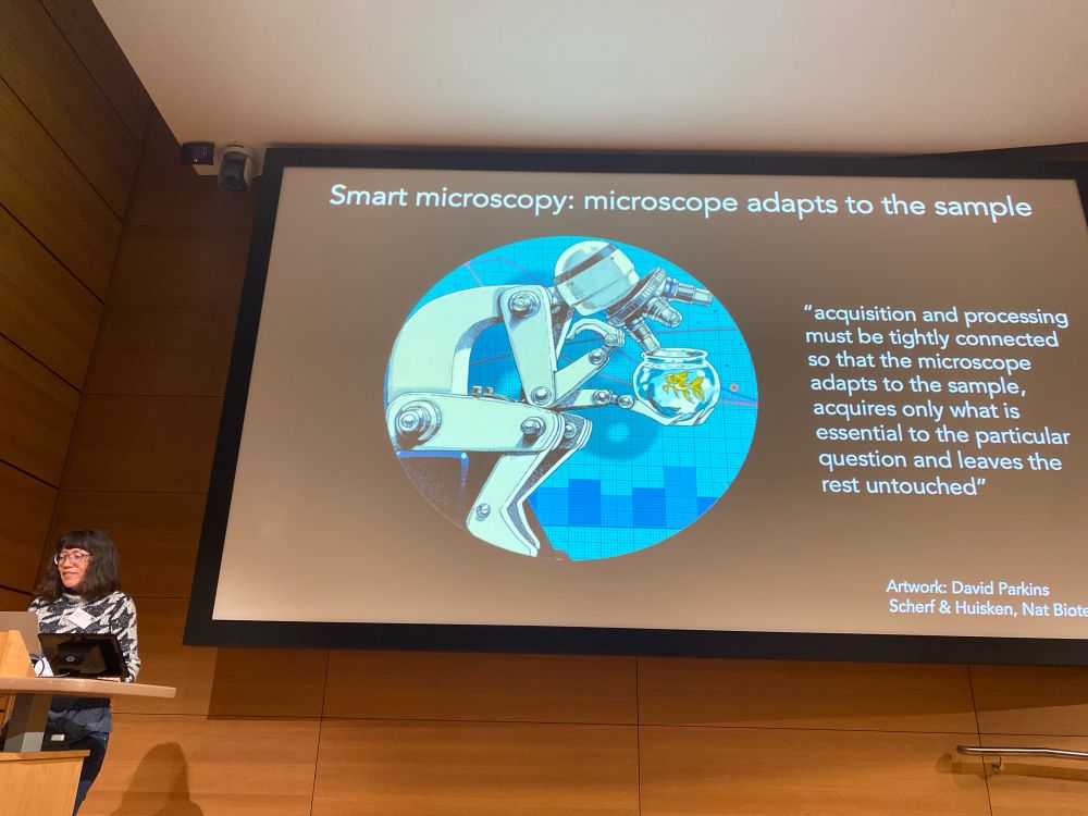 Crick BioImage Analysis Symposium (@the_cbias) on Twitter photo First #CBIAS2024 session chaired by <a href="/giulia_paci/">Giulia Paci</a> kicking off with <a href="/SulianaManley/">Suliana Manley ๐ฌ๐๐งซ</a> from EPFL on smart microscopy. Mitochondria are very sensitive to photodamage, but smart microscopy can help! First #CBIAS2024 session chaired by <a href="/giulia_paci/">Giulia Paci</a> kicking off with <a href="/SulianaManley/">Suliana Manley ๐ฌ๐๐งซ</a> from EPFL on smart microscopy. Mitochondria are very sensitive to photodamage, but smart microscopy can help!