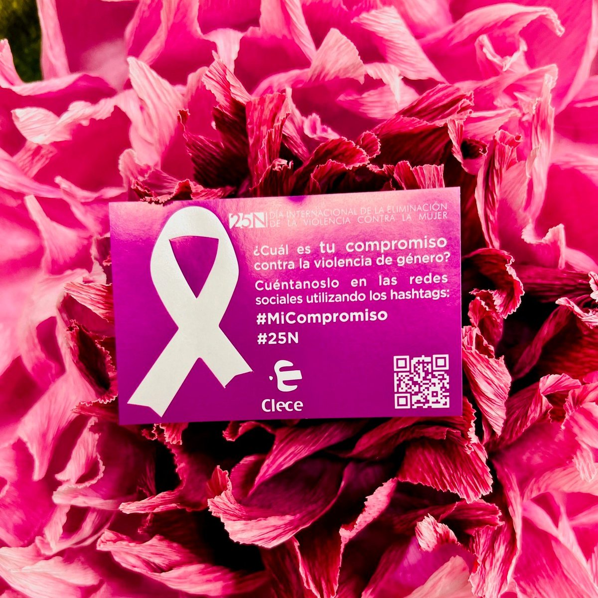Leticia Cantón Baeza tweet media