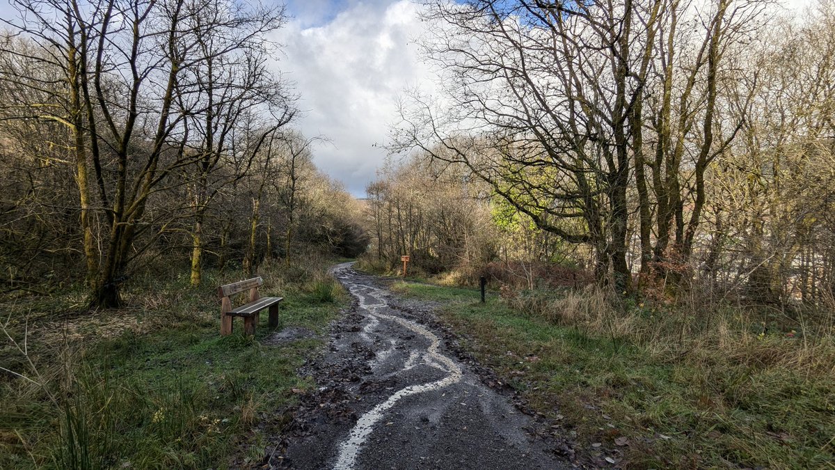 The calm after the storm in Cwmsaerbren woods , Treherbert 
<a href="/W_2_R_Woods/">Welcome To Our Woods</a> <a href="/RhonddaSkyline/">Rhondda Skyline</a> <a href="/S4Ctywydd/">S4C Tywydd</a> <a href="/bbcweather/">BBC Weather</a> <a href="/DerekTheWeather/">Derek Brockway - weatherman</a> <a href="/BBCWthrWatchers/">BBC Weather Watchers</a>