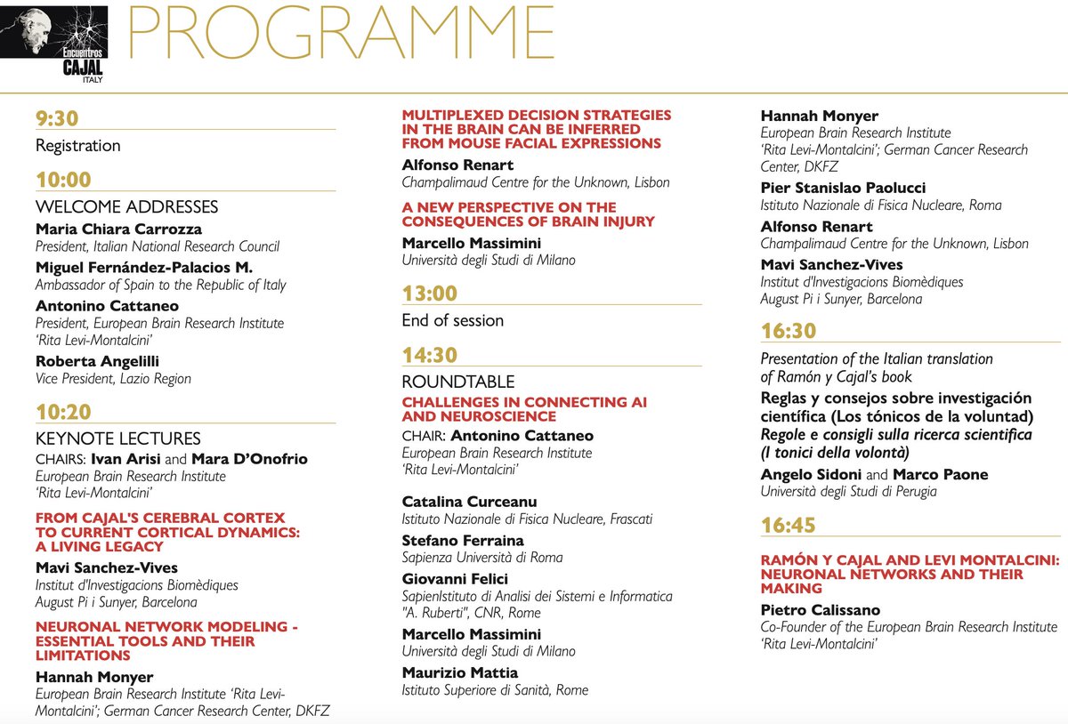 P.S.Paolucci invited at the event organized by #EBRI and the Embassy of #Spain in Italy, to commemorate the Spanish neuroscientist Santiago Ramón y Cajal, on
#Neuroscience-inspired next generation #AI
Roundtable: Challenges in connecting AI and Neuroscience 
#CNR Nov.26th.2024