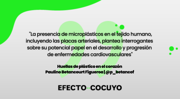 “Si bien los científicos han iniciado una carrera contra reloj para comprender los impactos de los microplásticos en la salud humana, aún queda mucho por investigar", explica.