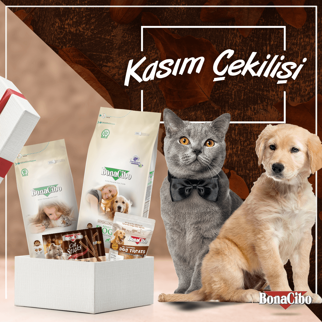 📣 BonaCibo'da Kasım Çekilişi! 📣

👉 <a href="/BONACIBO/">Bonacibo Cat & Dog Food</a> hesabımızı takip et. ✔️⁠
👉 Gönderimizi beğen ve repostla. ❤️⁠
👉 Bir arkadaşını yoruma etiketle. 💬⁠

5 takipçimize: 😻 4kg kuru #KediMaması + ödül çubuğu veya 🐶 8kg kuru #KöpekMaması + ödül maması!

Sonuçlar 4 Aralık! 🤩