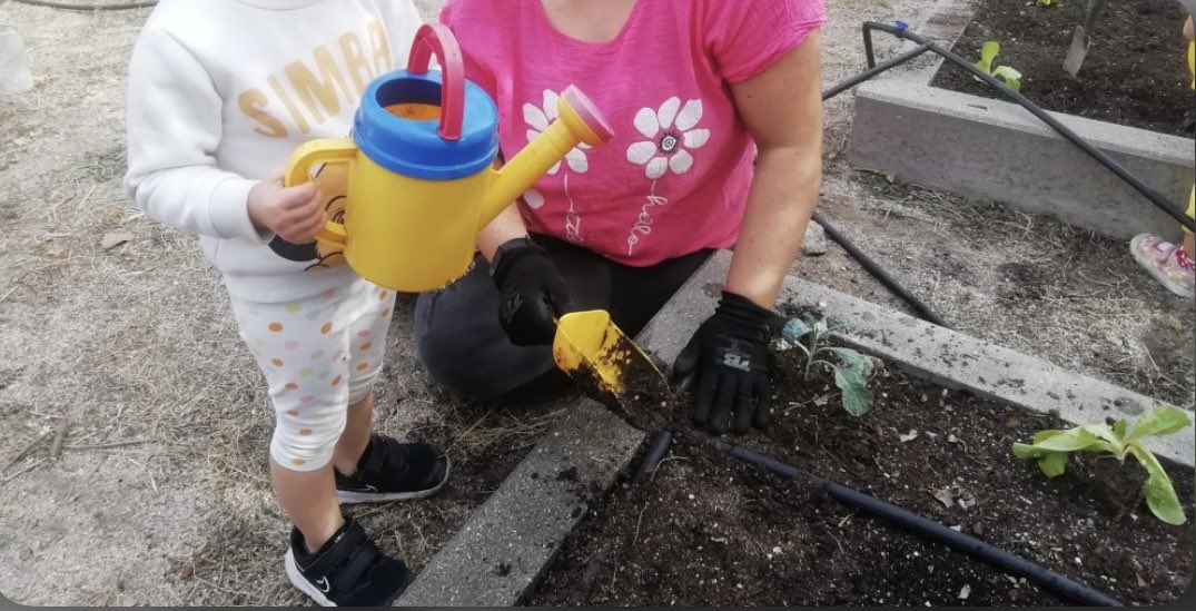 ¡Manos a la tierra! Hoy en el huerto infantil sembramos semillas, aprendiendo sobre el cuidado de la naturaleza y el ciclo de las plantas. Una actividad llena de diversión y aprendizaje🌱🌿. #educauja #huertoinfantil