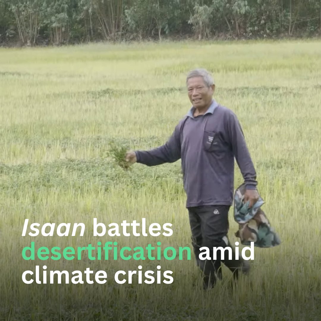 Mekong Eye (@mekongeye) on Twitter photo 🌾🌧️Once known for its thriving agriculture, Thailand's northeastern region locally named Isaan, is now battling desertification as a result of shifting rain patterns linked to global warming. By <a href="/prachathamtv/">Prachatham</a>
👁️Watch: mekongeye.com/2024/11/25/isa… 🌾🌧️Once known for its thriving agriculture, Thailand's northeastern region locally named Isaan, is now battling desertification as a result of shifting rain patterns linked to global warming. By <a href="/prachathamtv/">Prachatham</a>
👁️Watch: mekongeye.com/2024/11/25/isa…