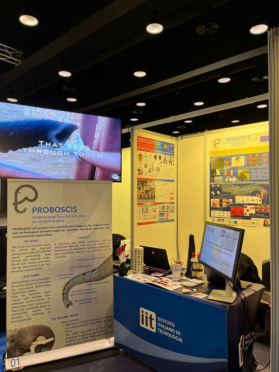 Proboscis_project tweet media