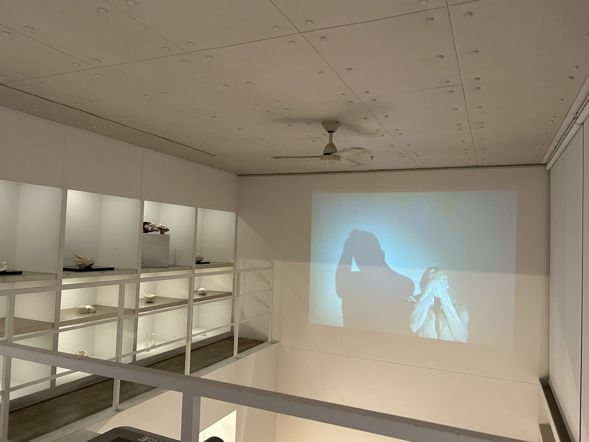 白白庵さんでは陶芸家の津田友子さんの個展が開催されてました✨
1Fはお茶道具や釉薬の美しいシャンパンカップや酒器などが並び3Fは陶のオブジェと映像の２部構成でした

カウンターで出して頂いたお茶のカップも津田さんのもので軽くて口当たりがよくて飲みやすいです
<a href="/pakupakuan_/">白白庵</a>