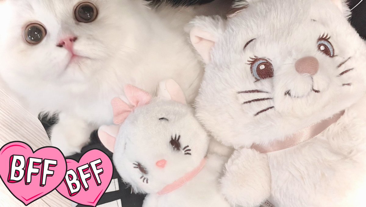 よーぐると (@yogurt__heart) / Posts / X