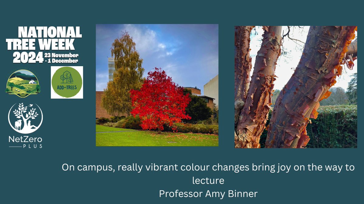 _NetZeroPlus's tweet image. Trees help us feel better. Do you feel calmer when you’re out in nature?
Being around trees lowers our blood pressure & reduces stress. In a world that’s getting busier, trees have never been more valuable to our wellbeing!
#NationalTreeWeek