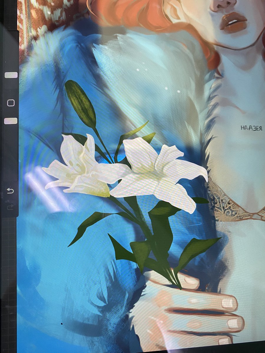 ★ eva hoppeshi ★ tweet media