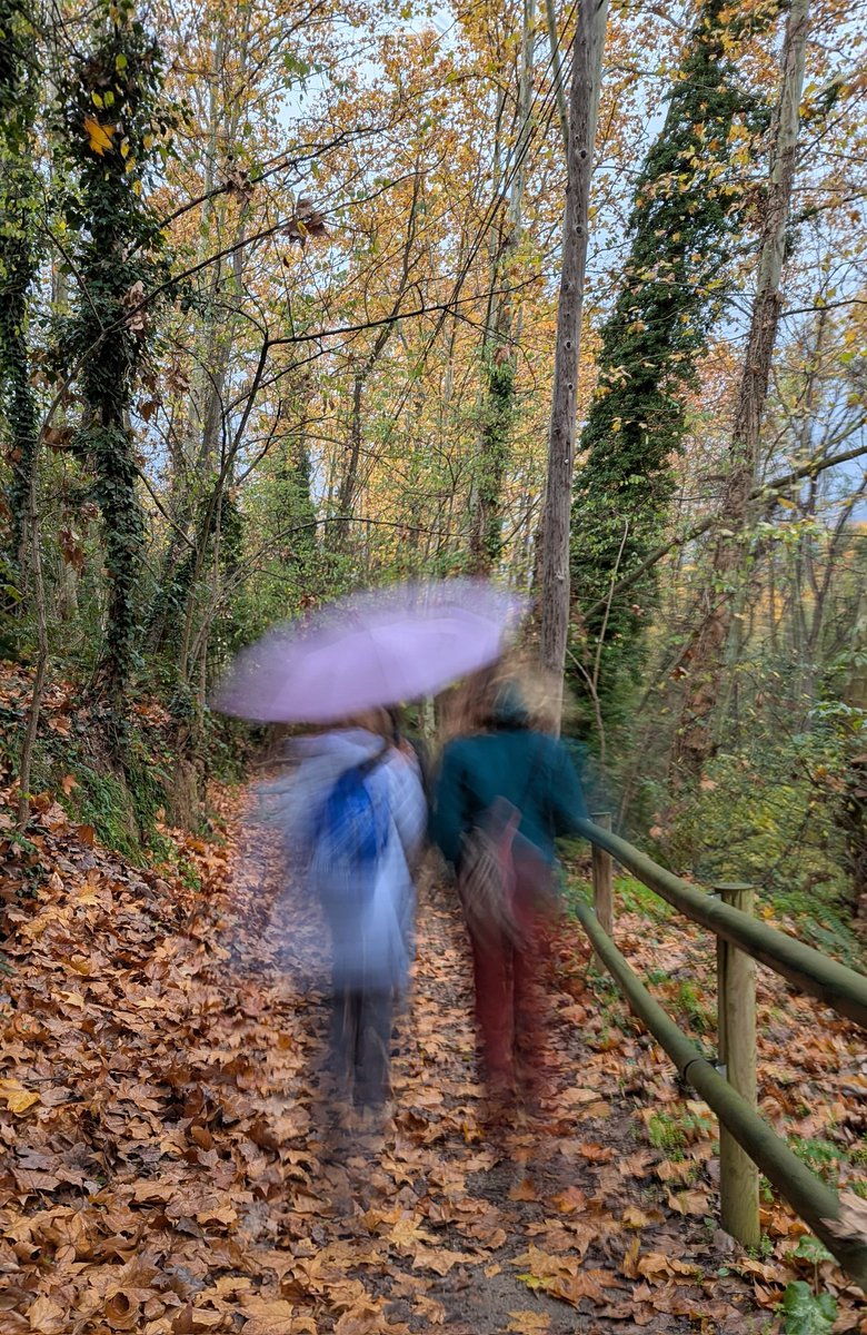 jordicampos's tweet image. Ahir compartint el dia entre la família i els amics! Dia rúfol amb molt bona companyia! #cursademuntanya #Gualba #senderisme #Cabrera #tardor