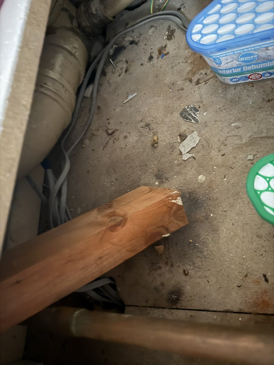 Marcus McCluskey-Wright tweet media