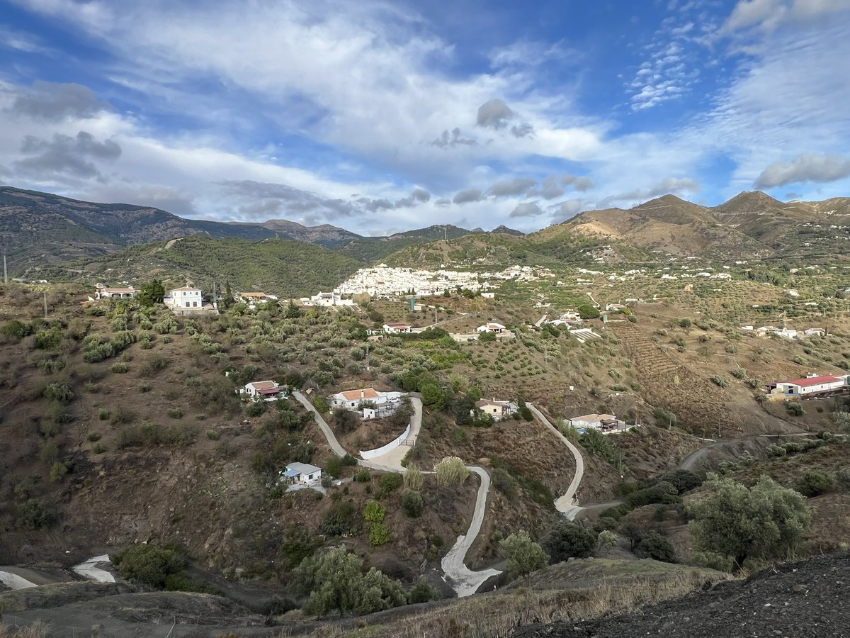 Jane Bond tweet media