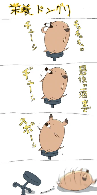 栄養ドングリは危険というお話じゃった 