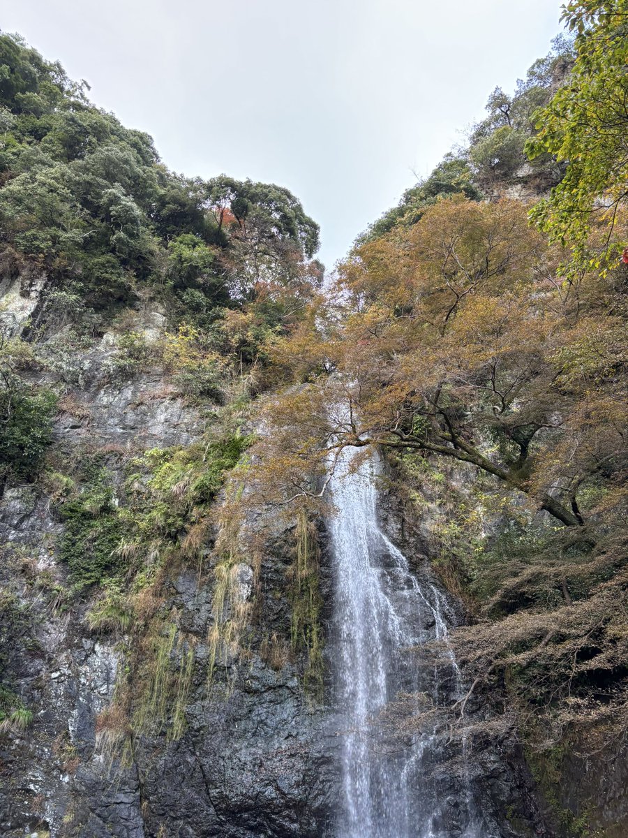 お疲れ様です！

あっという間に11月最終週...
ここ1週間で一気に寒くなり冬を感じ始めています❄️⛄️

12月の最終日に良い1年だったと言えるように、11月残り4営業日駆け抜けていきます🏃‍♂️‍➡️

今週もよろしくお願いします🍁✨