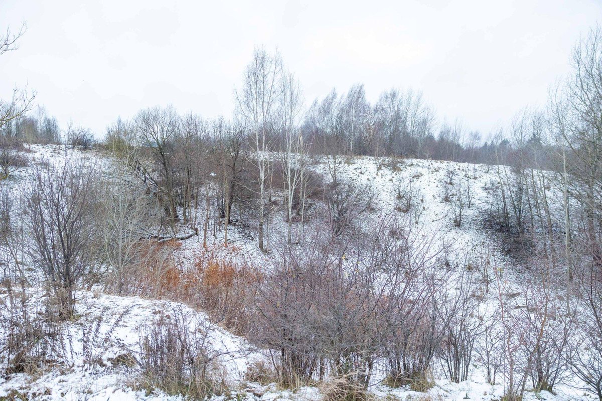 Breaking Aviation News & Videos tweet media