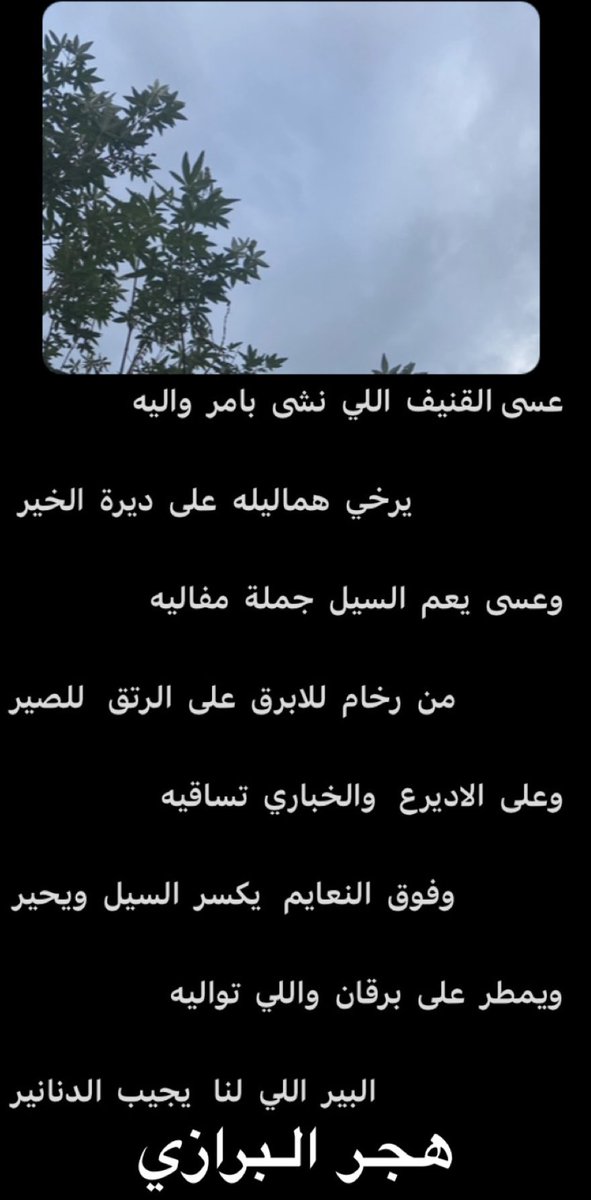 هجر البرازي (@hajer_albarazi) on Twitter photo 