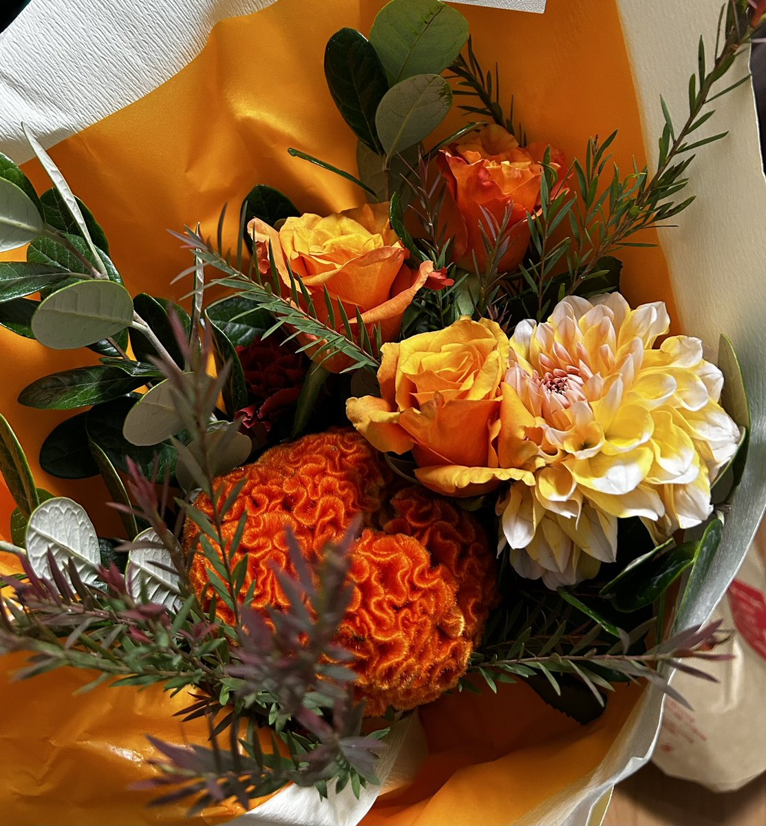 私は今回、能『経正』でシテを演じました。
普段一人で練習することが多く、本番でワキの先生に入っていただいたとき、経正として立つ世界がいつもよりはっきり見えたように感じました。
拙いものだったとは思いますが、たくさんの方に支えられて悔いなく演じ切れたことに感謝の気持ちでいっぱいです。