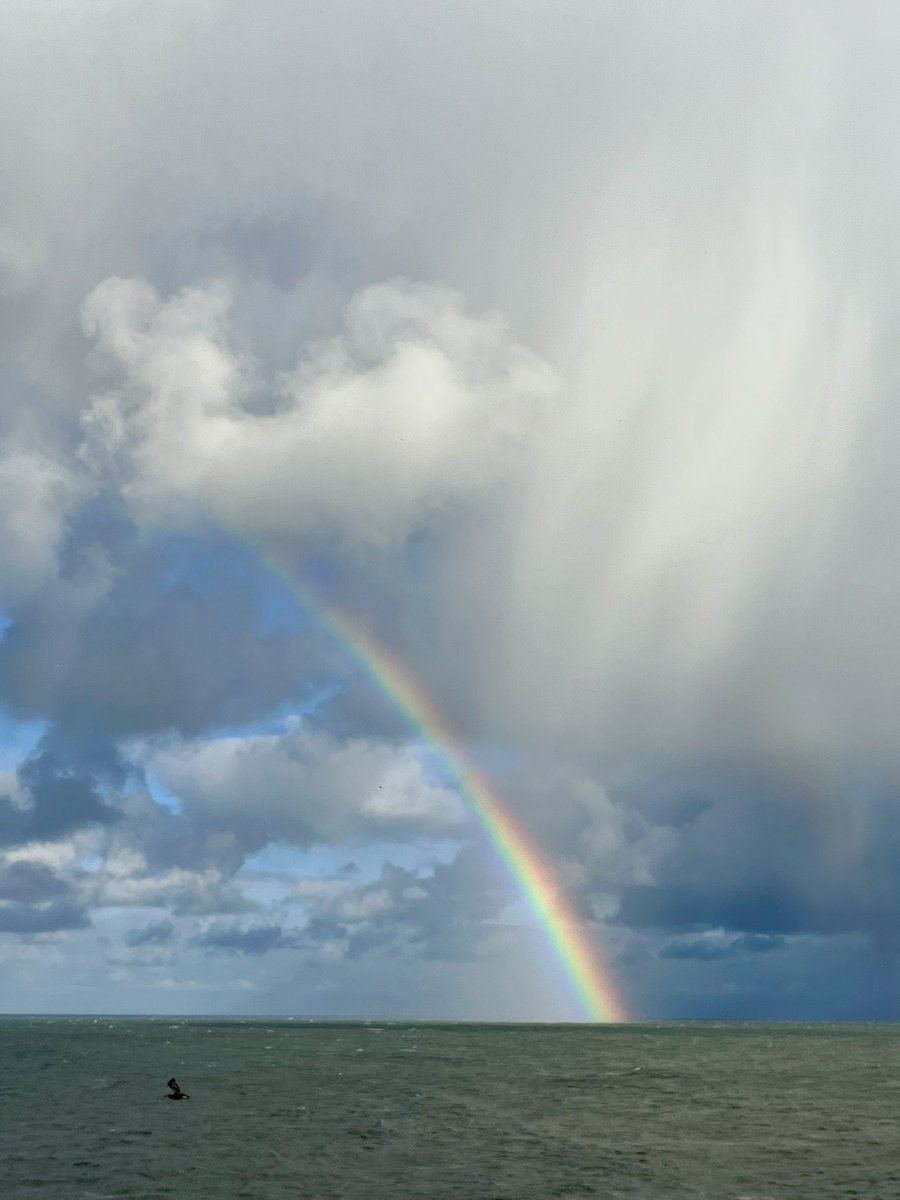 Good morning from New Quay &amp; Cardigan Bay 🏴󠁧󠁢󠁷󠁬󠁳󠁿
