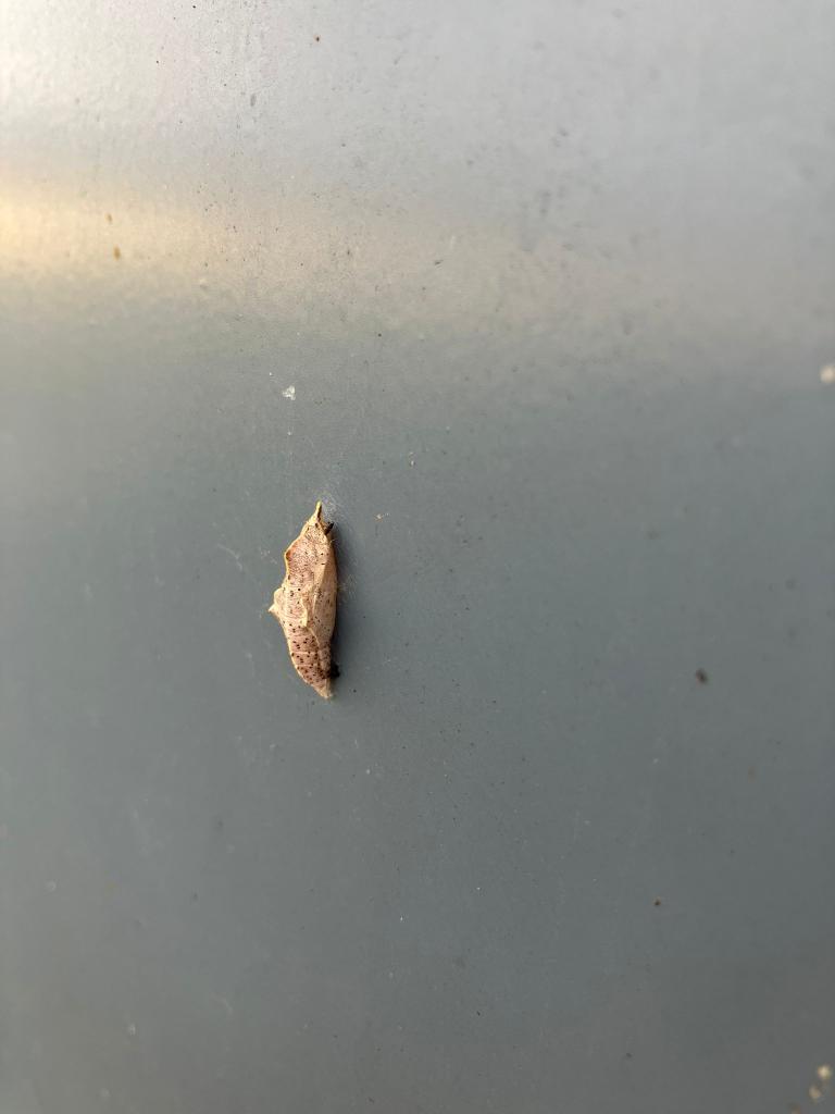 Before and after. Quite amazing really.