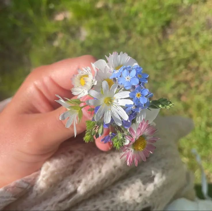 artindetails's tweet photo. flower picking https://t.co/AF9ZY1ZnW1