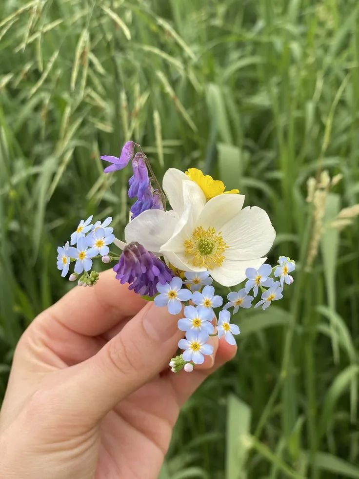 artindetails's tweet photo. flower picking https://t.co/AF9ZY1ZnW1