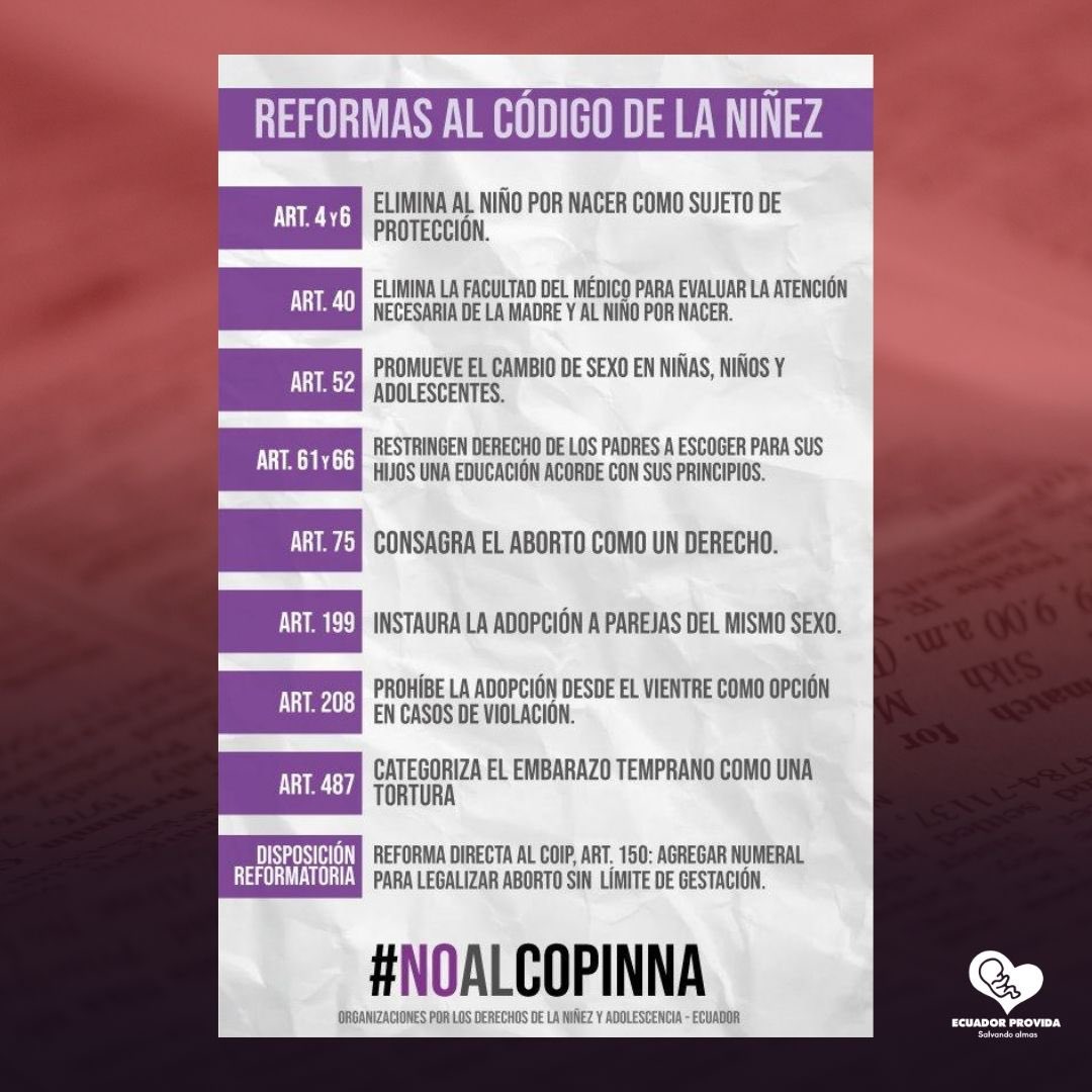 EcuadorProvida's tweet photo. Que está en juego ♟️con el COPINNA?

Entérate y únete a levantar la voz por nuestro país 
Los niños merecen protección, no abandono.
#NoAlCOPINNA https://t.co/xfaWrF52tQ