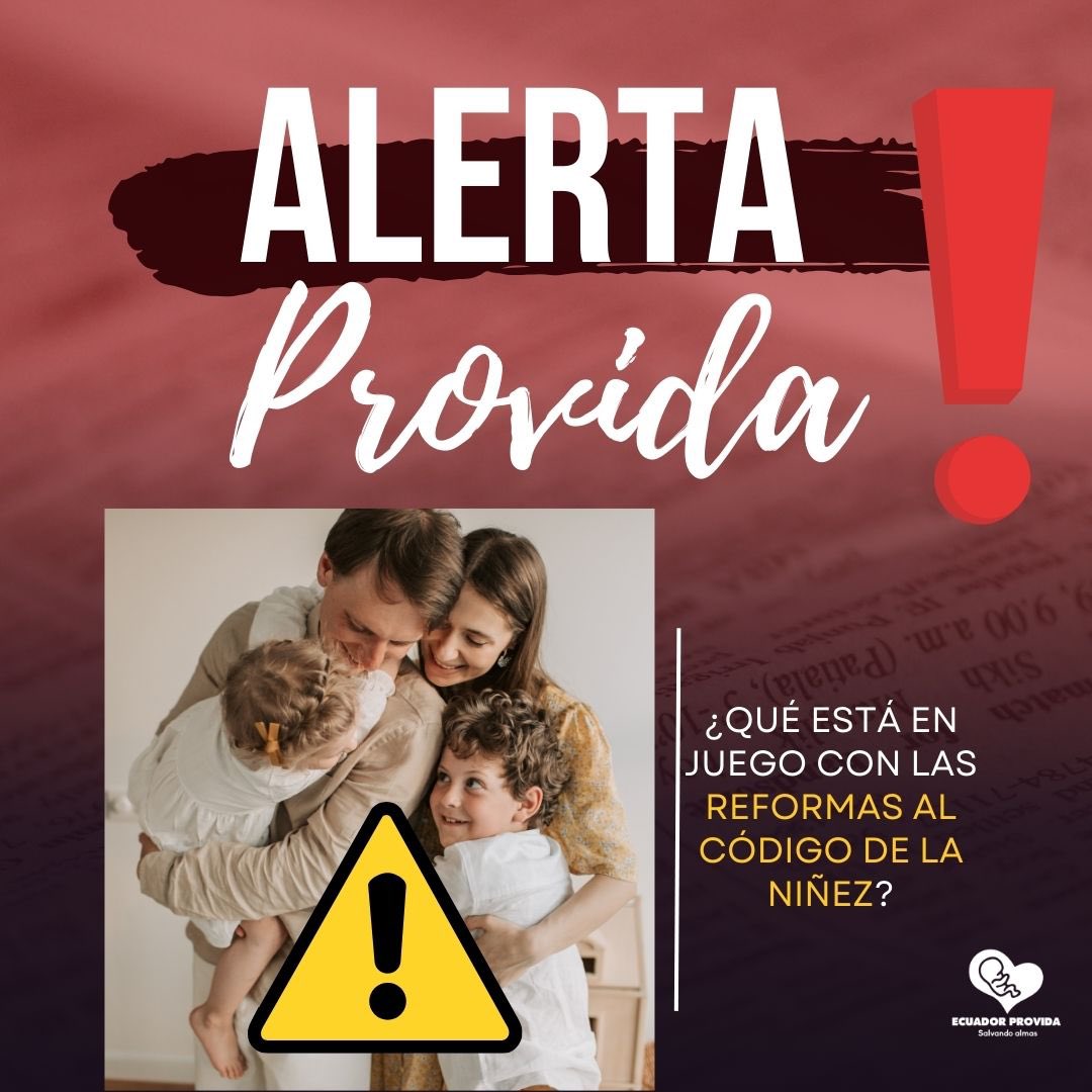 EcuadorProvida's tweet photo. Que está en juego ♟️con el COPINNA?

Entérate y únete a levantar la voz por nuestro país 
Los niños merecen protección, no abandono.
#NoAlCOPINNA https://t.co/xfaWrF52tQ