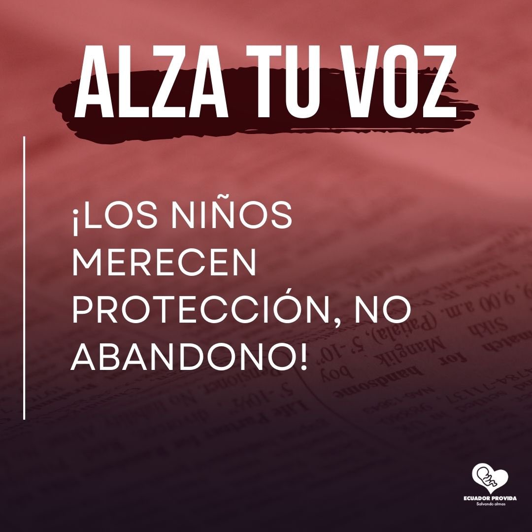 EcuadorProvida's tweet photo. Que está en juego ♟️con el COPINNA?

Entérate y únete a levantar la voz por nuestro país 
Los niños merecen protección, no abandono.
#NoAlCOPINNA https://t.co/xfaWrF52tQ