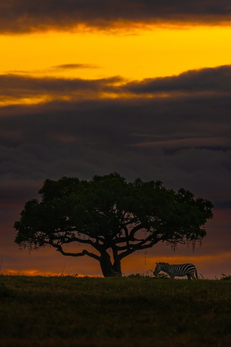 Subhash Nair tweet media