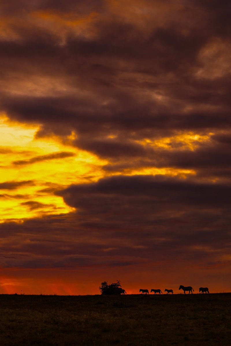 Subhash Nair tweet media