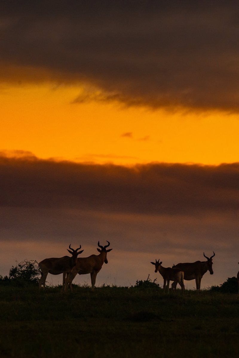 Subhash Nair tweet media