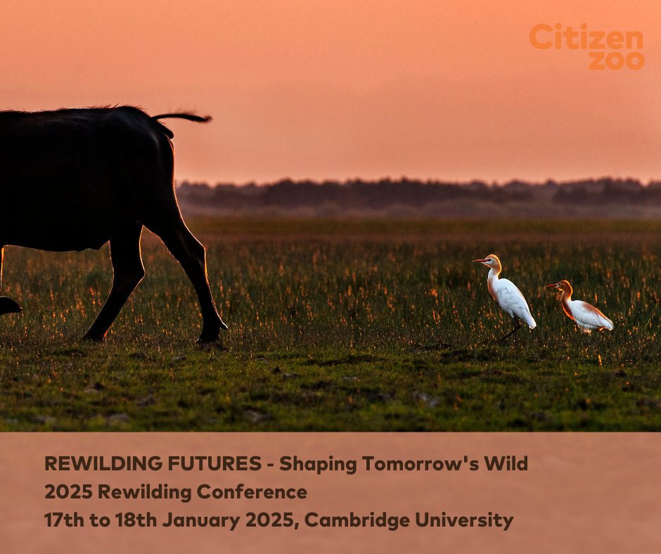 CitizenZoo's tweet photo. Don't miss Citizen Zoo's 2025 Rewilding Conference📣

Join us in Cambridge for two days of innovative and far-reaching discussions as we look to the future of nature recovery across the globe  🌍 🌱

Tickets available here: https://t.co/CLZFvvvajW https://t.co/JKkxSK1GXs