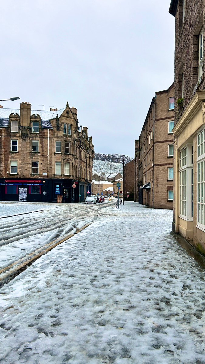 aurelia 🌻 tweet media