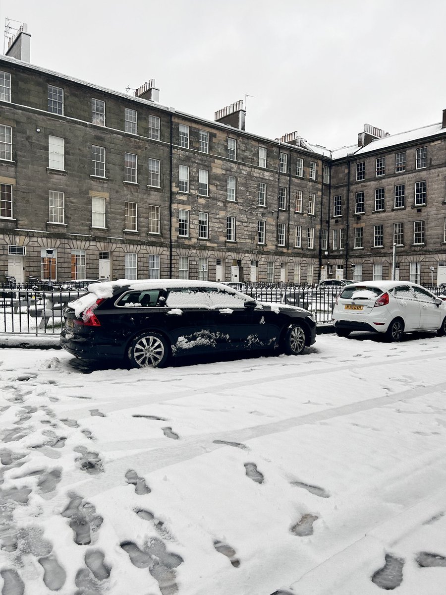 aurelia 🌻 tweet media