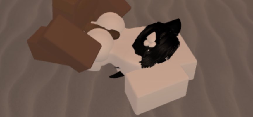 robloxcondoPlay's tweet photo. まじでconしてる時に直接日本人見たことないな
いたら挙手🙋‍♂️🙋‍♀️
#robloxcondogames #rosex https://t.co/pWx53J9zFH