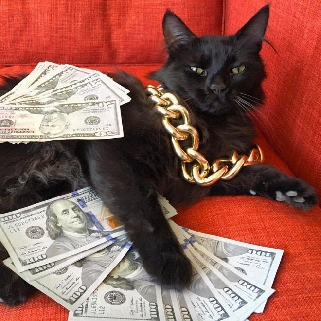 AtAceAkbar's tweet image. My life right now. 

I Don&apos;t give a shit about Twitter but still making bags with it.