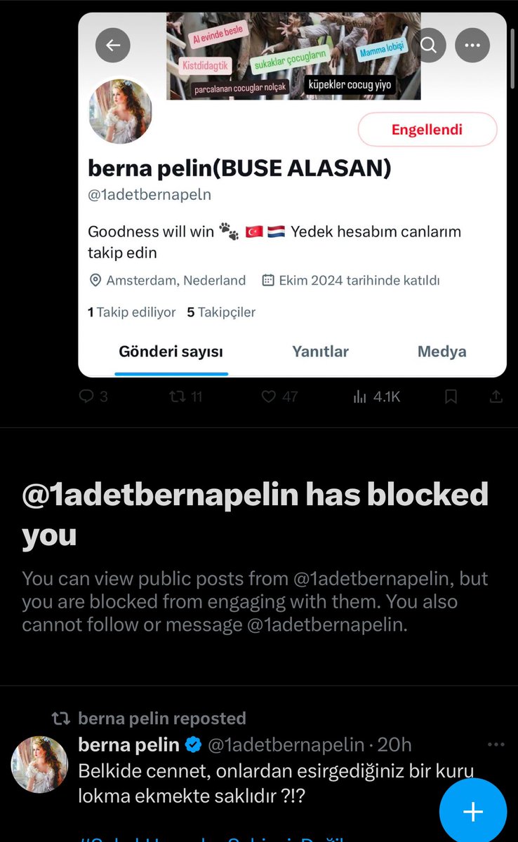 Yalancılar sizi, niye engelledin