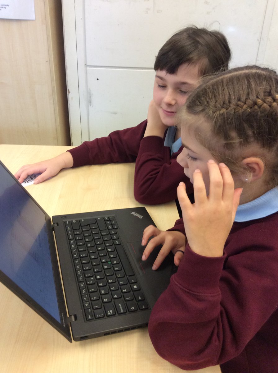 La Mare Primary tweet media