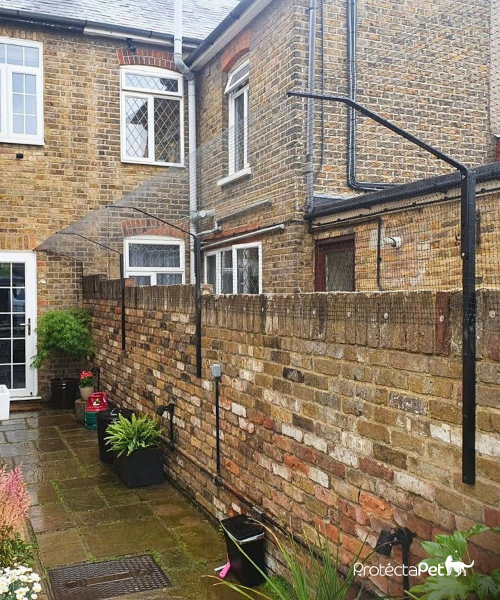 A great example of ProtectaPet Cat Fence Extension Barriers on a Sloping Brick Wall 😻🌿 #KeepingCatsSafe