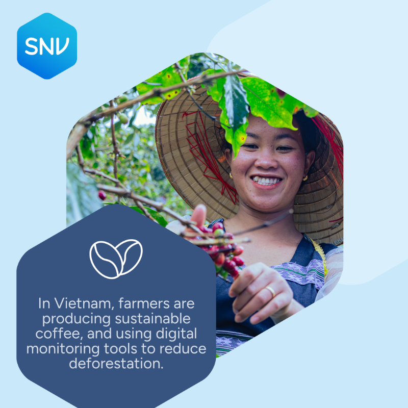 SNVworld's tweet photo. 🌾 Farmers are facing unpredictable weather, depleted soils &amp; growing risks to livelihoods &amp; food security.

At SNV, we work with farmers to build climate resilience through locally-led approaches.

Local action for global impact. #SNVImpactThatMatters

🔗 https://t.co/cFoBrt3OtG