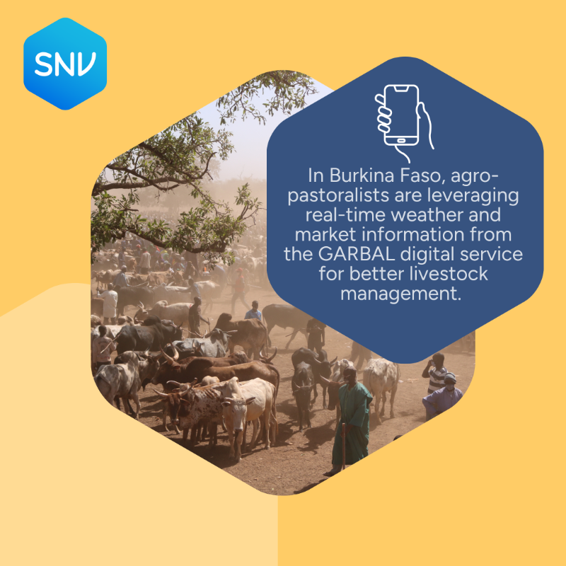 SNVworld's tweet photo. 🌾 Farmers are facing unpredictable weather, depleted soils &amp; growing risks to livelihoods &amp; food security.

At SNV, we work with farmers to build climate resilience through locally-led approaches.

Local action for global impact. #SNVImpactThatMatters

🔗 https://t.co/cFoBrt3OtG