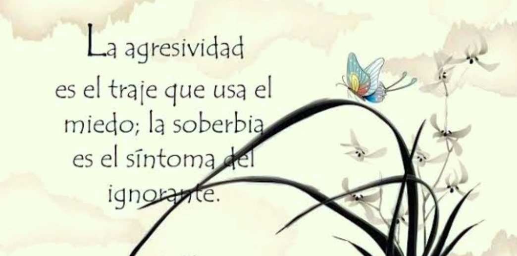 Elías Torres (@eliastorresc) on Twitter photo 