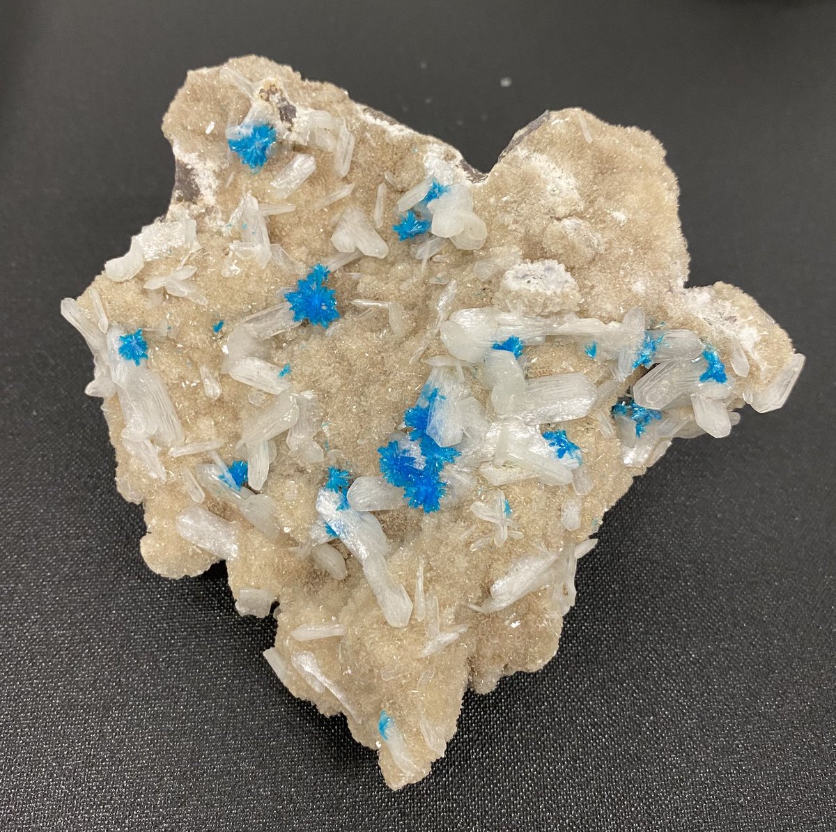 andersonmineral's tweet photo. Delicate bright blue cavansite crystal sprays with white stilbite from Wagholi, India. #MineralMonday #GeoscienceTwitter https://t.co/P3mdsaQdTZ