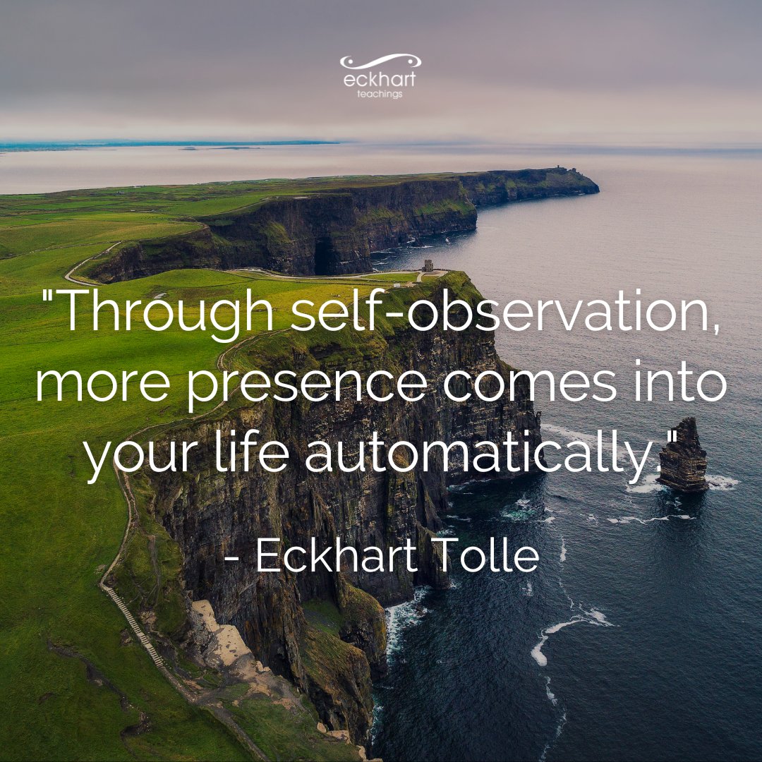 Eckhart Tolle tweet media