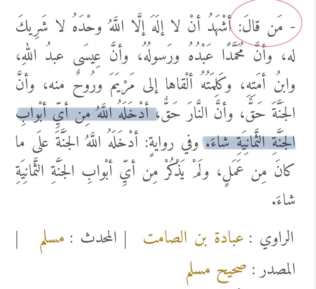 _s28p's tweet image. 