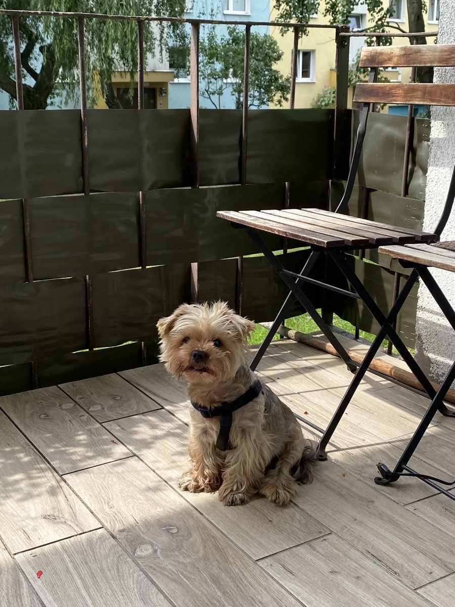 ziomekpoziomek•wwaN2🩷 tweet media